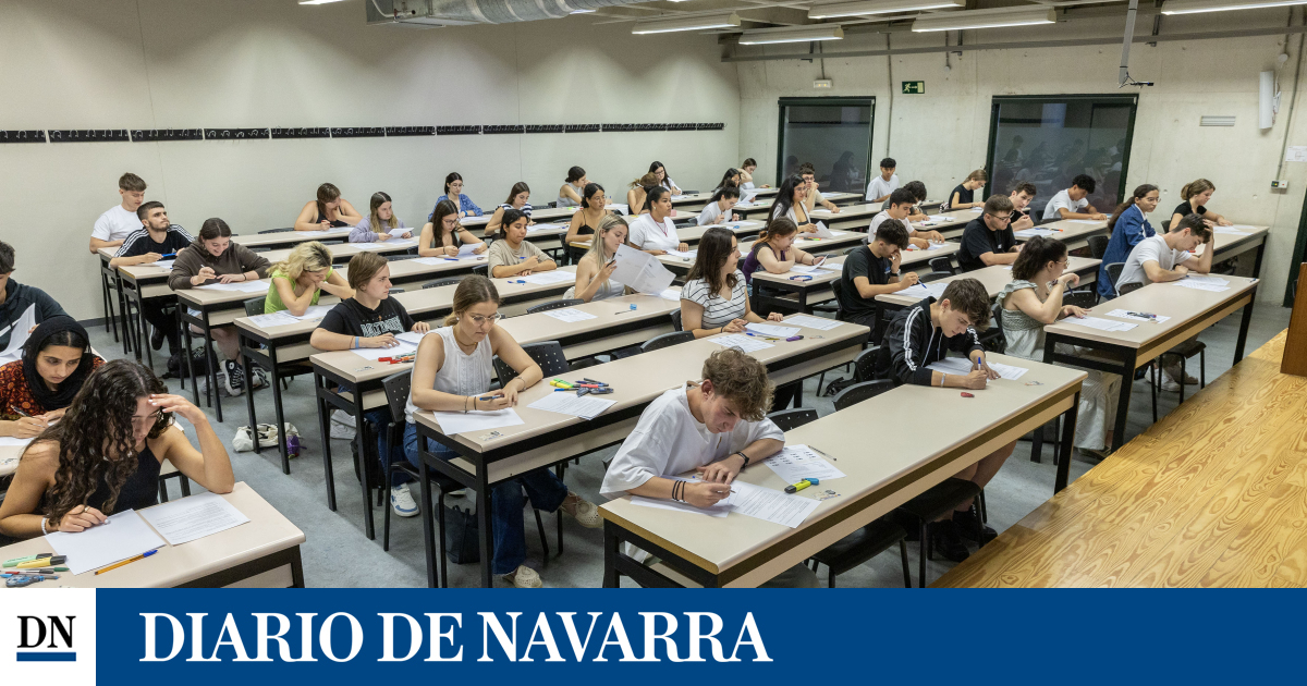 www.diariodenavarra.es