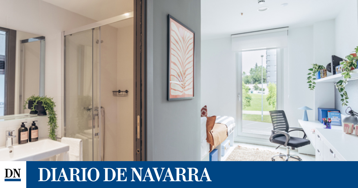 www.diariodenavarra.es