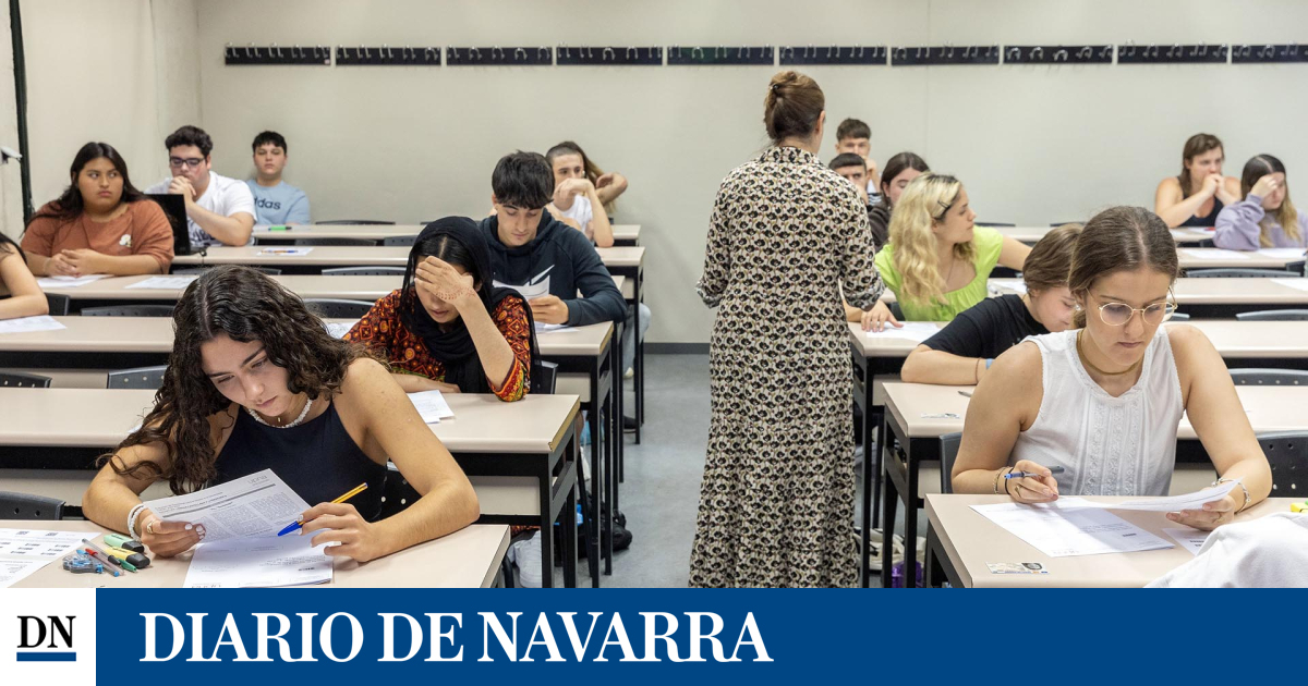 www.diariodenavarra.es