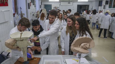 Foto de archivo de alumnos de primero de Medicina en Santiago