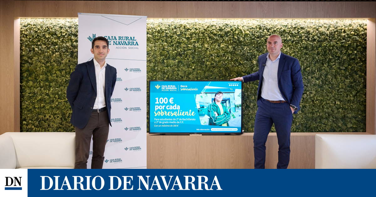 www.diariodenavarra.es