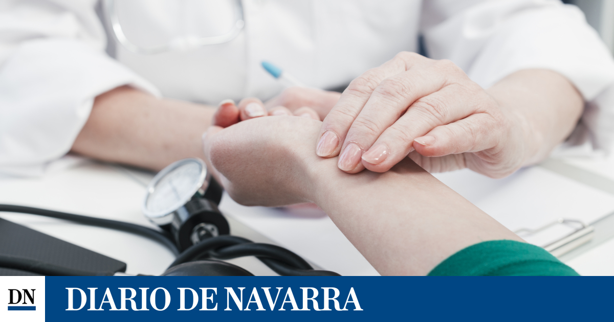 www.diariodenavarra.es